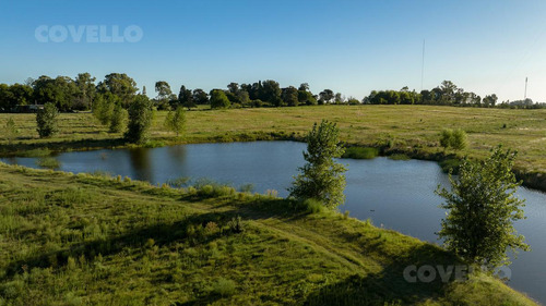 Terreno - Real De San Carlos