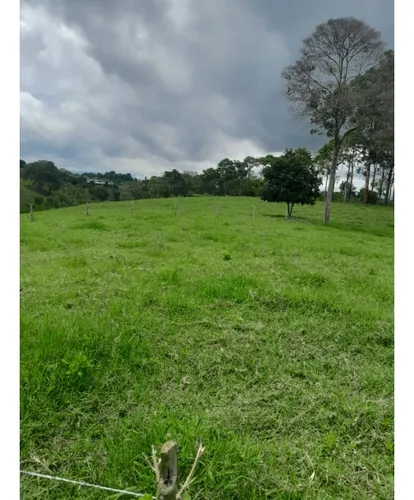 Venta Finca Montenegro Sector Vereda Pueblo Rico - 11 Cuadras