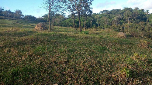 Imagem 4 de 7 de 11- Ultimas Unidades