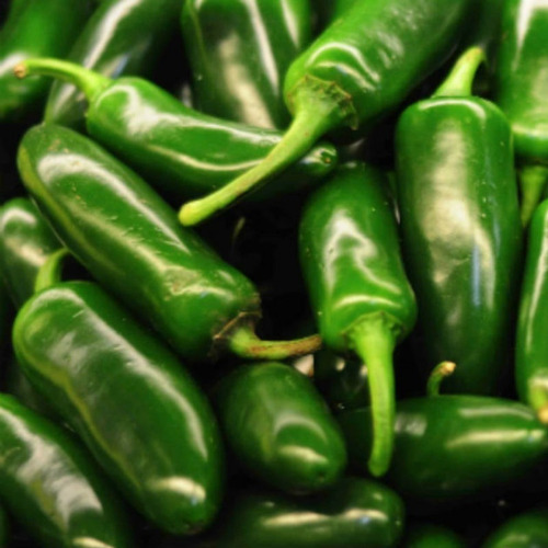 Imagem 7 de 10 de Sementes De Pimenta Jalapenho Mexicana Para Vaso Ou Hortas