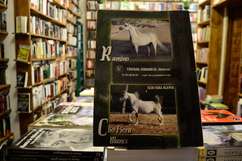 El Mundo Del Caballo. (Usado)