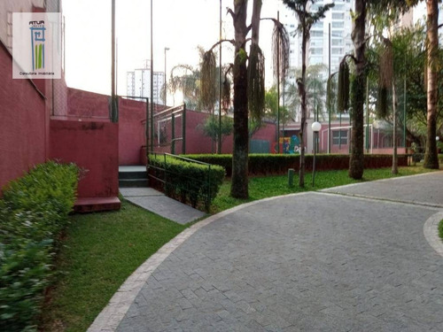 Imagem 19 de 24 de Excelente Apartamento Lauzane - Ap1419