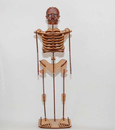 Maqueta Esqueleto 3d Beto El Esqueleto 40cm-imaginarte Láser