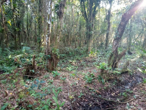 Chácara Em Itanhaém - 2078 - 34451753