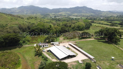 Finca Ganadera 267 Hectareas, Casa Principal De 550 Mts2 De Construcción Aproximados, 3 Depósitos De Maquinarias, Techos Nuevos, Ventanales Panoramicos Y Corredores