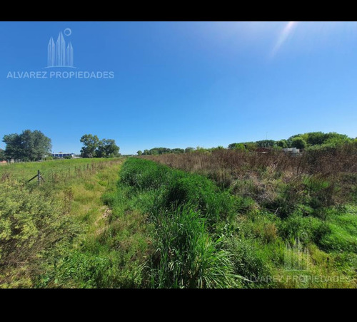 Terreno En Francisco Álvarez