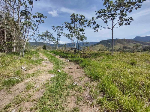 Imagem 15 de 19 de Terreno À Venda No Bairro Pilões - Guaratinguetá/sp - Tr010-1