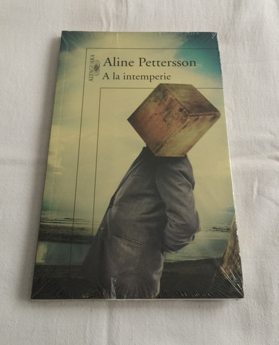 Libro A La Intemperie, De Aline Pettersson