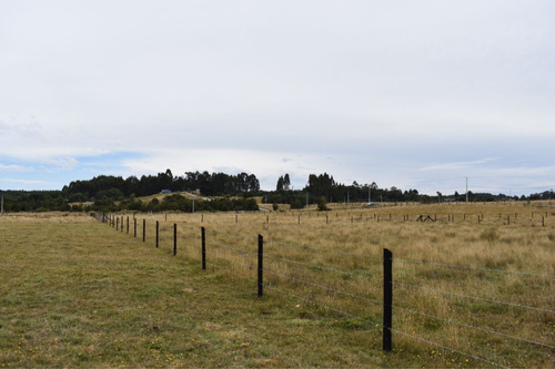 Parcelas En Puerto Montt, Los Lagos