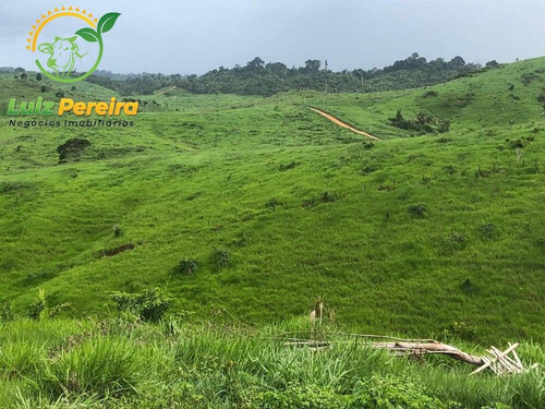 Imagem 13 de 15 de Fazenda À Venda Em Pacajá - Pa 692,12 Hectares - 2094