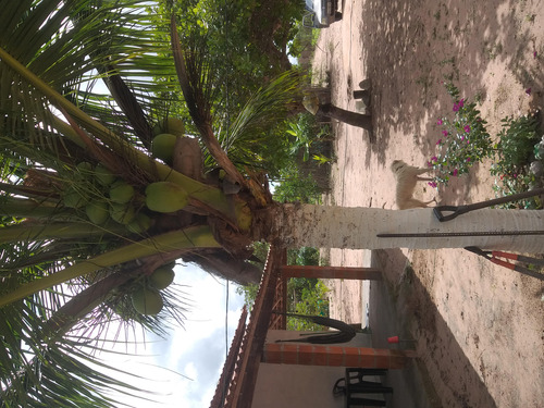 Vendo Casa .com Pequeno Sitio Frutífero E Casa Do Caseiro