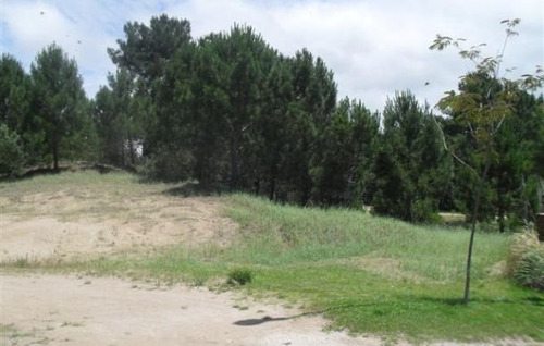 Cul De Sac De La Popa