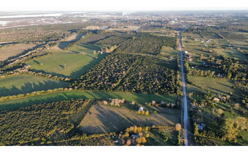 Vendo Casa De Campo En 3 Has En Concepción Del Uruguay, Entre Ríos.