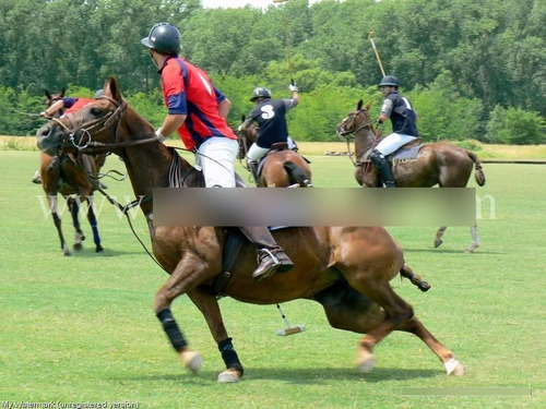 Estancia Benquerencia Farm Club - Chacra 339 (3.4ha) , Monte, Pcia. Bs. As.