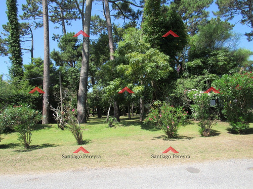 Terreno En Punta Del Este, San Rafael