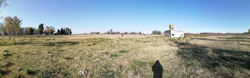 Imagen 5 de 13 de Campo 5ha - Con Pequeña Construcción - Capitan Sarmiento -