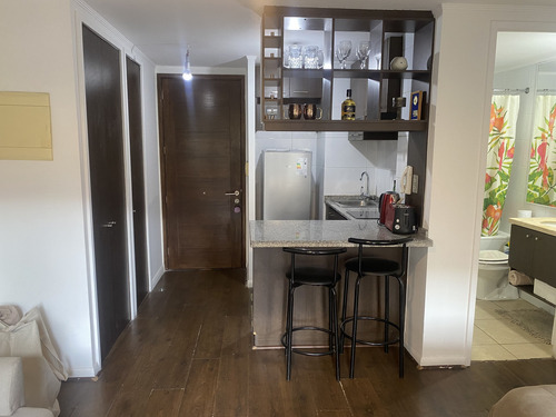 Impecable Estudio Metro Santa Isabel