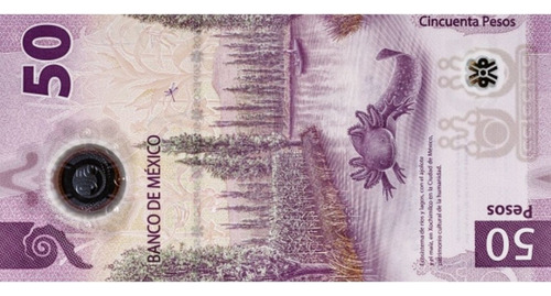 Billete Del Ajolote  Mas 3 Monedas De 20 Pesos 