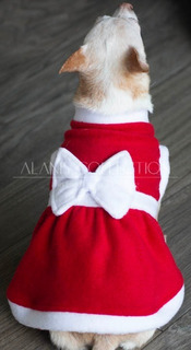 Disfraces Para Perro Chihuahua | MercadoLibre ???? Disfraces Para Perro Chihuahua | MercadoLibre ????