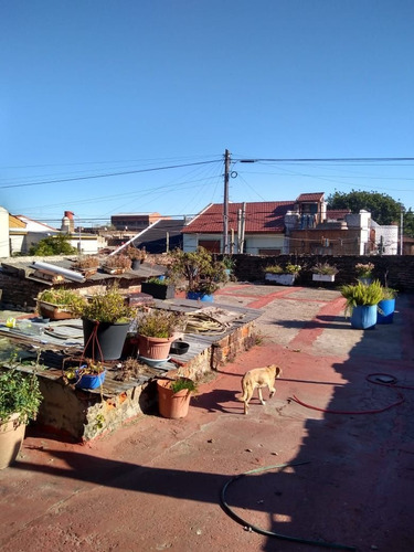 Imagen 11 de 13 de Galpon En Venta En Lanús Oeste
