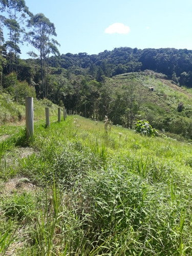 Imagem 6 de 18 de Terreno - 407 - 69476279