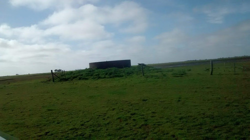 Campo Ganadero Gral. Lavalle