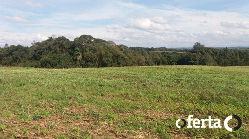 Imagem 4 de 11 de Chacara - Formigueiro - Ref: 71 - V-71