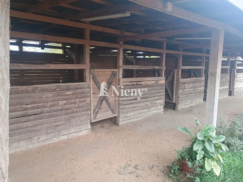 Agrícola En Arriendo En Limache