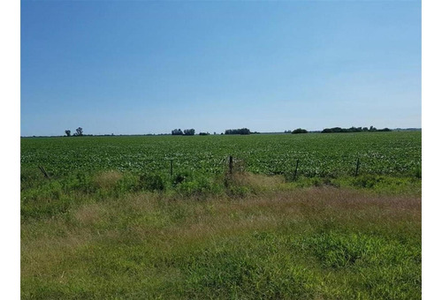Imagen 7 de 10 de Campo En Ramallo 12 Has