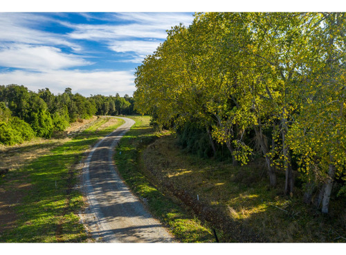 Parcela En La Reserva De Frutillar Naturaleza, Exclusivida