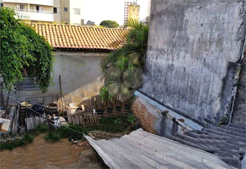 Imagem 6 de 16 de Ótimo Como Terreno Para Futuras Instalações - Reo690483