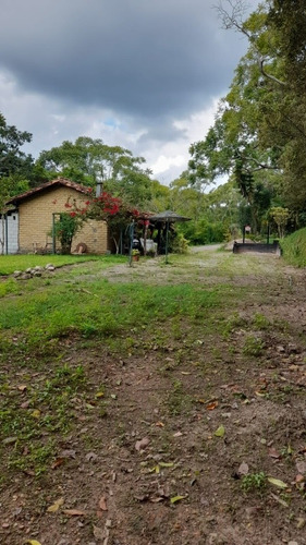 Imagen 3 de 18 de Granja En Peribeca 1.4 Ha