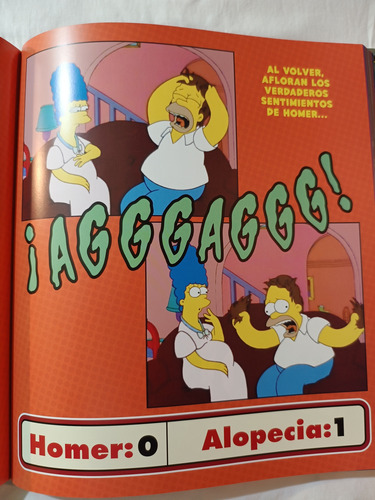 Los Simpson La Historia Familiar Un Homenaje A La Familia (Usado)