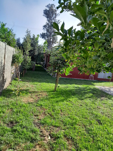 Casa 330 M2 Terreno, 3d 1 B, Villa Palermo, Calera De Tango