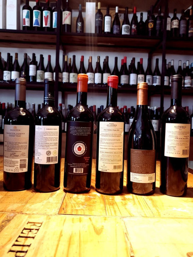 Mix X 6 Cabernet Franc, Alta Gama Recomendados Viña Urbana