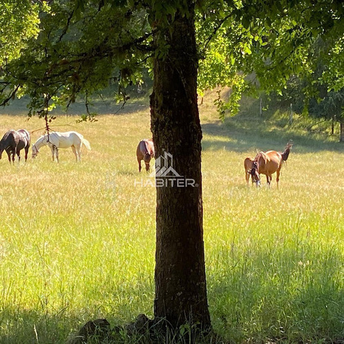 Cod34832 Agrícola Campo 122 Ha. En Venta Collipulli