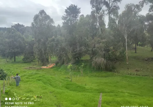 Lotes De 1.600 Metros Cuadrados