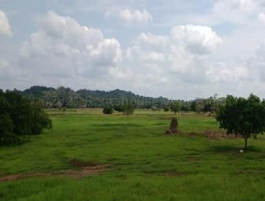 Imagen 2 de 14 de Terreno Para Adecuación De Finca Agrícola O Ganadera. Mfpp Rah