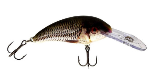 Señuelo Shad Dancer 7 Cm Live Roach