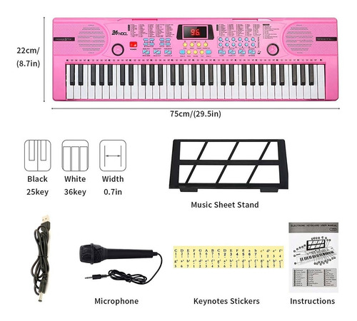 Imagen 2 de 8 de Teclado Órgano Rosa Music 61 Tec 100 Tone 100 Ritm Bd 612