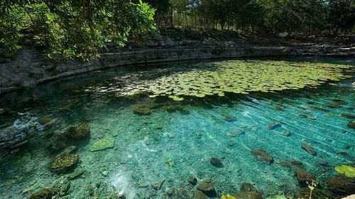 Qh5 1255 Preventa Terrenos U/s Mixto, Fracc. Con 4 Cenotes Yucatán