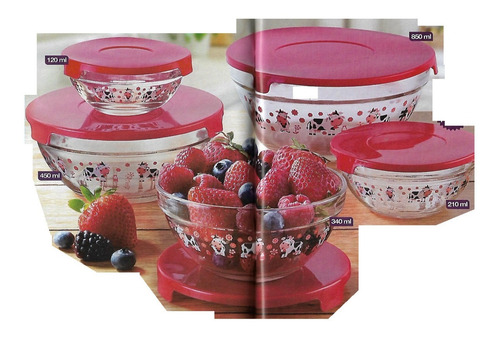 Set 5 Bowls De Vidrio Con Tapas (Usado)