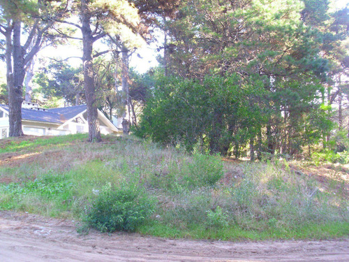Imagen 5 de 6 de Lote En Venta - Zona Bosque / Ref: 1388