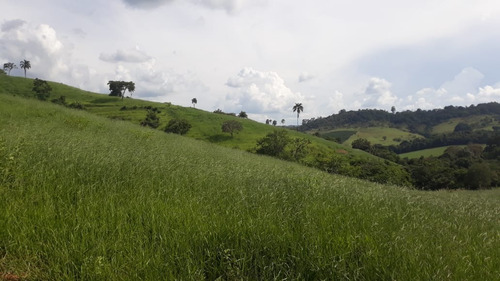 Imagem 29 de 30 de Vendo Fazenda Dupla Aptidao Regiao De Poços De Caldas (6176 )
