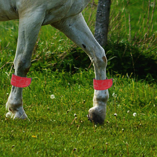 4 Tobilleras Led Para Caballos, Ajustables, De Alto Brillo