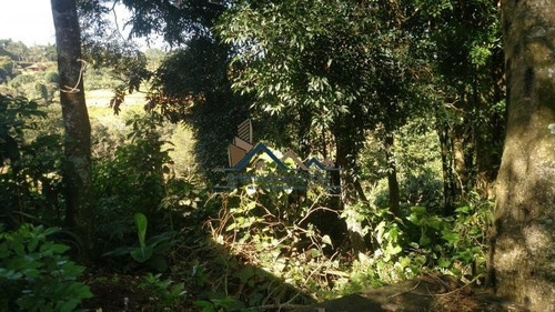 Imagem 4 de 15 de Chácara Com Nascente, Lago E Pomar. - 172