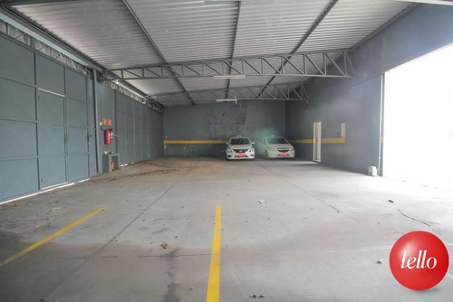 Comercial/industrial - Ref: 222929