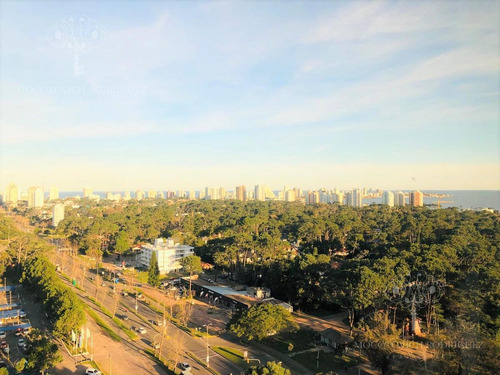 Departamento - Roosevelt