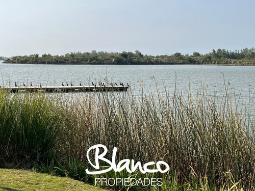 Imagen 3 de 13 de Oportunidad! Espectacular Lote Al Agua En El Exclusivo Barrio Los Puentes - Nordelta