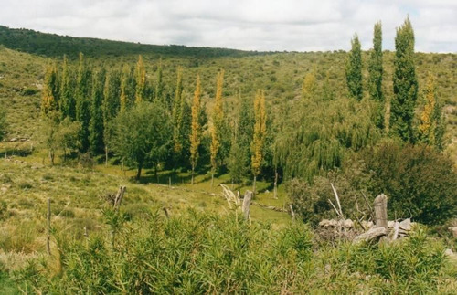 Imagen 20 de 22 de Traslasierra - Estancia Aguas Del Tala - Pueblo Ambul - Pampas Del Pocho - 383has Cercadas A La Venta En Una Zona De Crecimiento Constante - Mina Clavero - Cordoba
